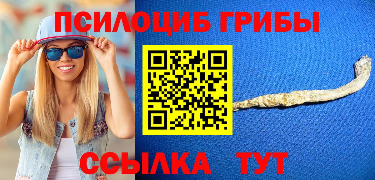 Псилоцибиновые грибы Magic Shrooms  Вход с VPN  Псилоцибиновые грибы Psilocybine cubensis  Тобольск 