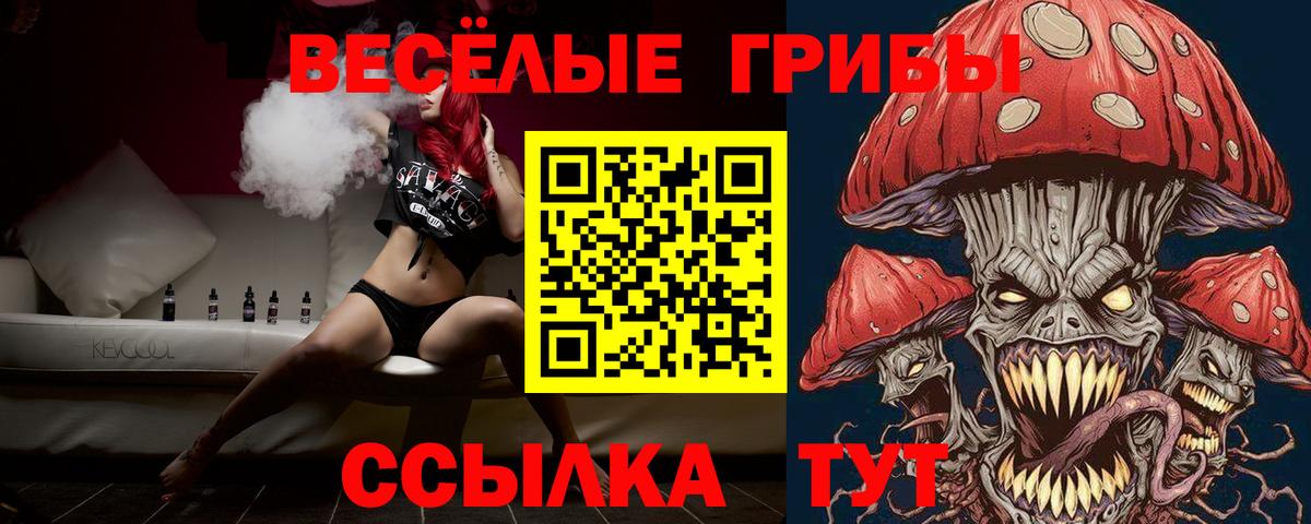 Галлюциногенные грибы Psilocybe Тобольск