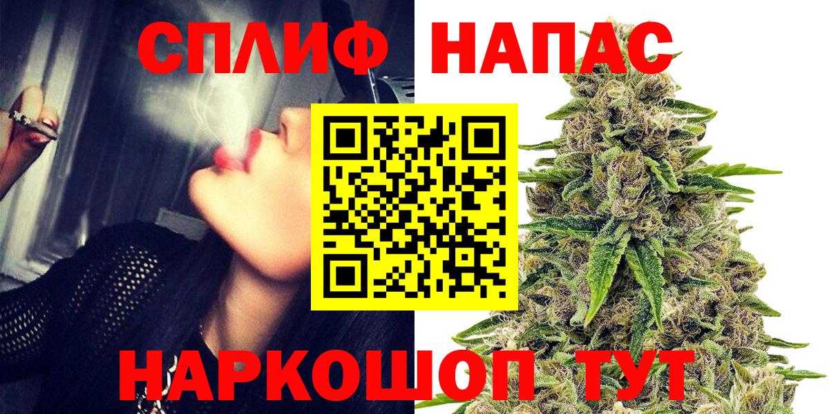 Каннабис сатива Тобольск